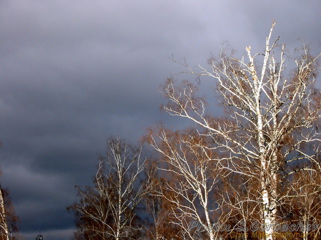 breathOfWinter