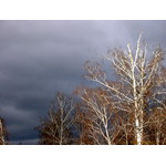 breathOfWinter