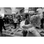 IMG_8532