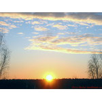 dawn
