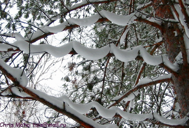 garlands