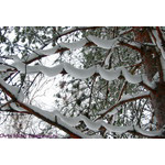 garlands