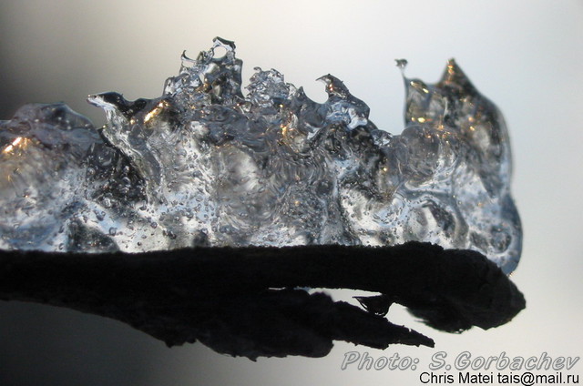 ice_dragon