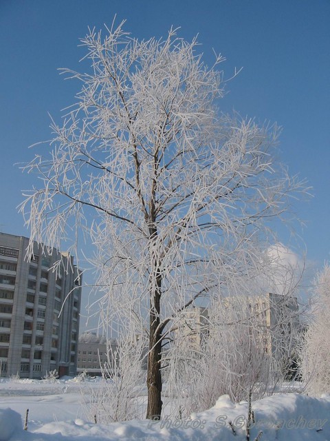 MorningRime
