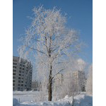 MorningRime