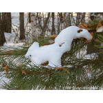 squirrel(snow_version)
