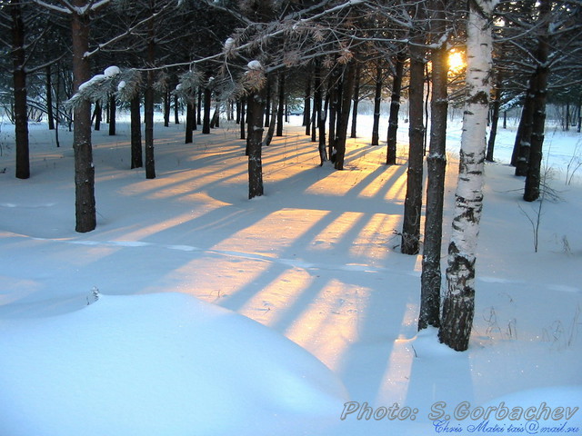Winter'sMorning