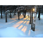 Winter'sMorning