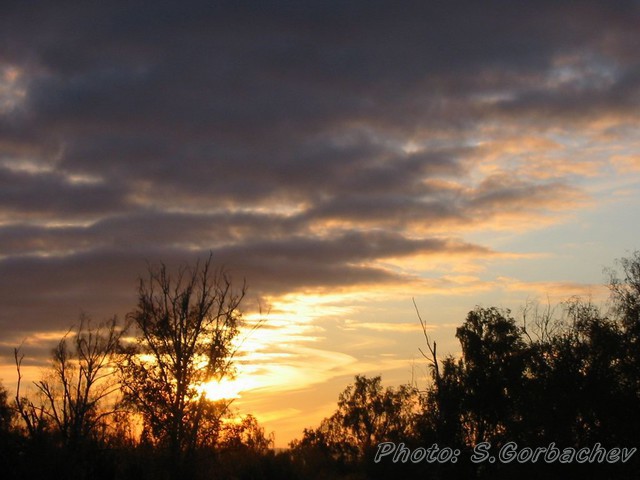 dawn