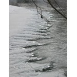 IceBank