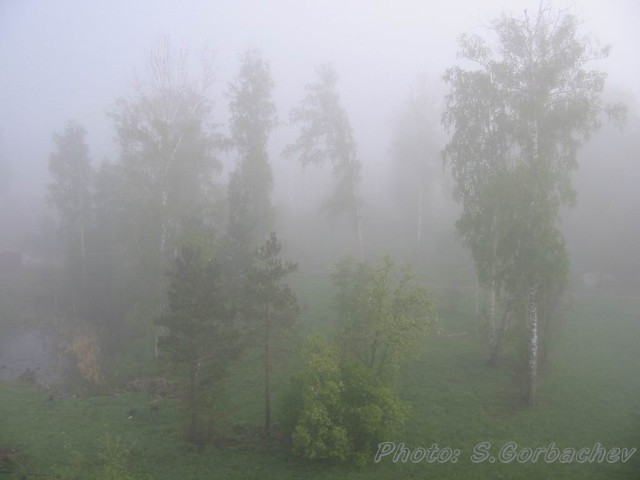 thickMorning'sMist