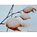 flying_at_fair_wind