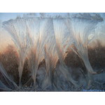 fountains_(of_brilliant_ideas)