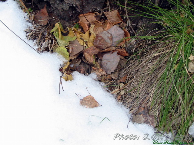 half-way_(to_winter)