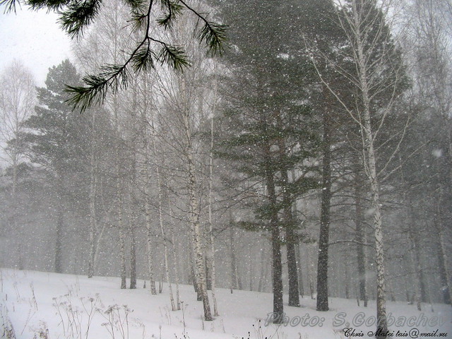 it_is_snowing