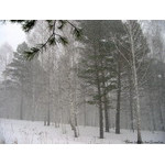 it_is_snowing