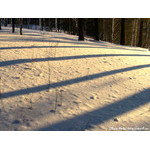 light_and_dark_strips(of_life)