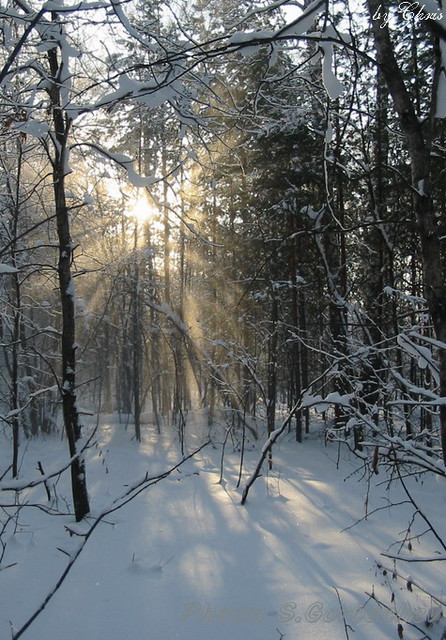 rays_of_light_in_land_of_snow