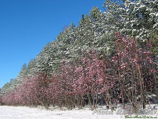 sky_corner_(and_snow_alley)