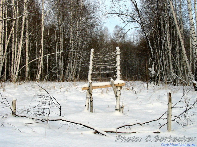 throne_of_king_of_beasts
