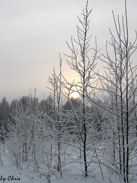 WhiteWinterSun