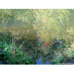 autumn_water_reflection