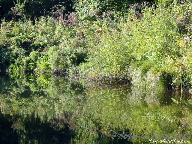 symmetry_and_grass_falls