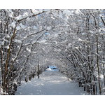 light_in_the_end_of_tunnel