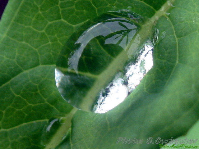 all_world_in_one_drop