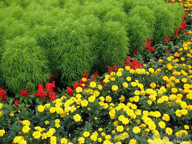 red_border