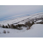 Belokur_Nature_001.jpg