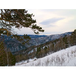 Belokur_Nature_003.jpg