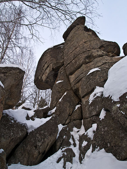 Belokur_Nature_008.jpg