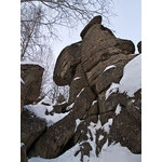 Belokur_Nature_008.jpg