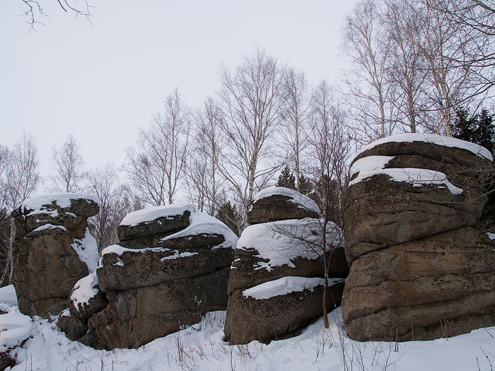 Belokur_Nature_010.jpg