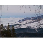 Belokur_Nature_011.jpg