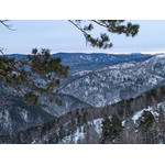 Belokur_Nature_013.jpg