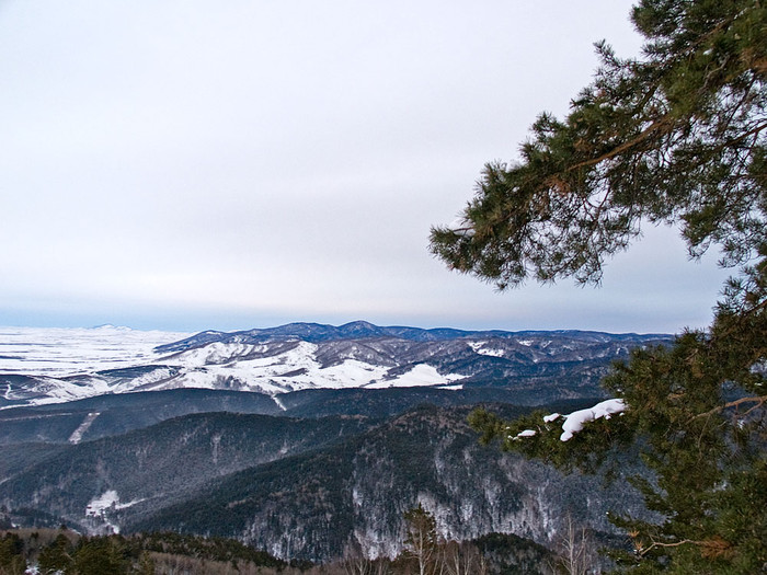 Belokur_Nature_014.jpg