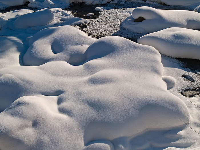Belokur_Nature_015.jpg