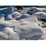 Belokur_Nature_015.jpg