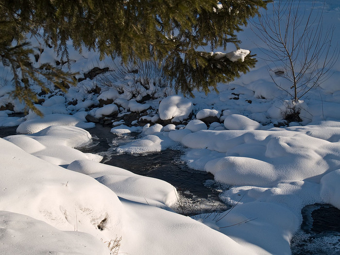 Belokur_Nature_016.jpg