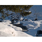 Belokur_Nature_016.jpg