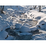 Belokur_Nature_017.jpg