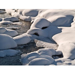Belokur_Nature_018.jpg
