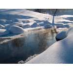 Belokur_Nature_019.jpg