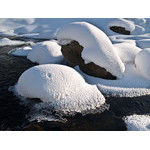 Belokur_Nature_020.jpg