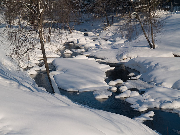 Belokur_Nature_021.jpg