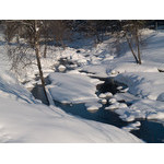 Belokur_Nature_021.jpg