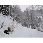 Belokur_Nature_027.jpg