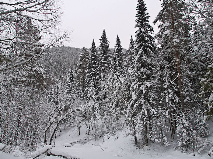 Belokur_Nature_028.jpg
